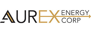 Логотип Aurex
